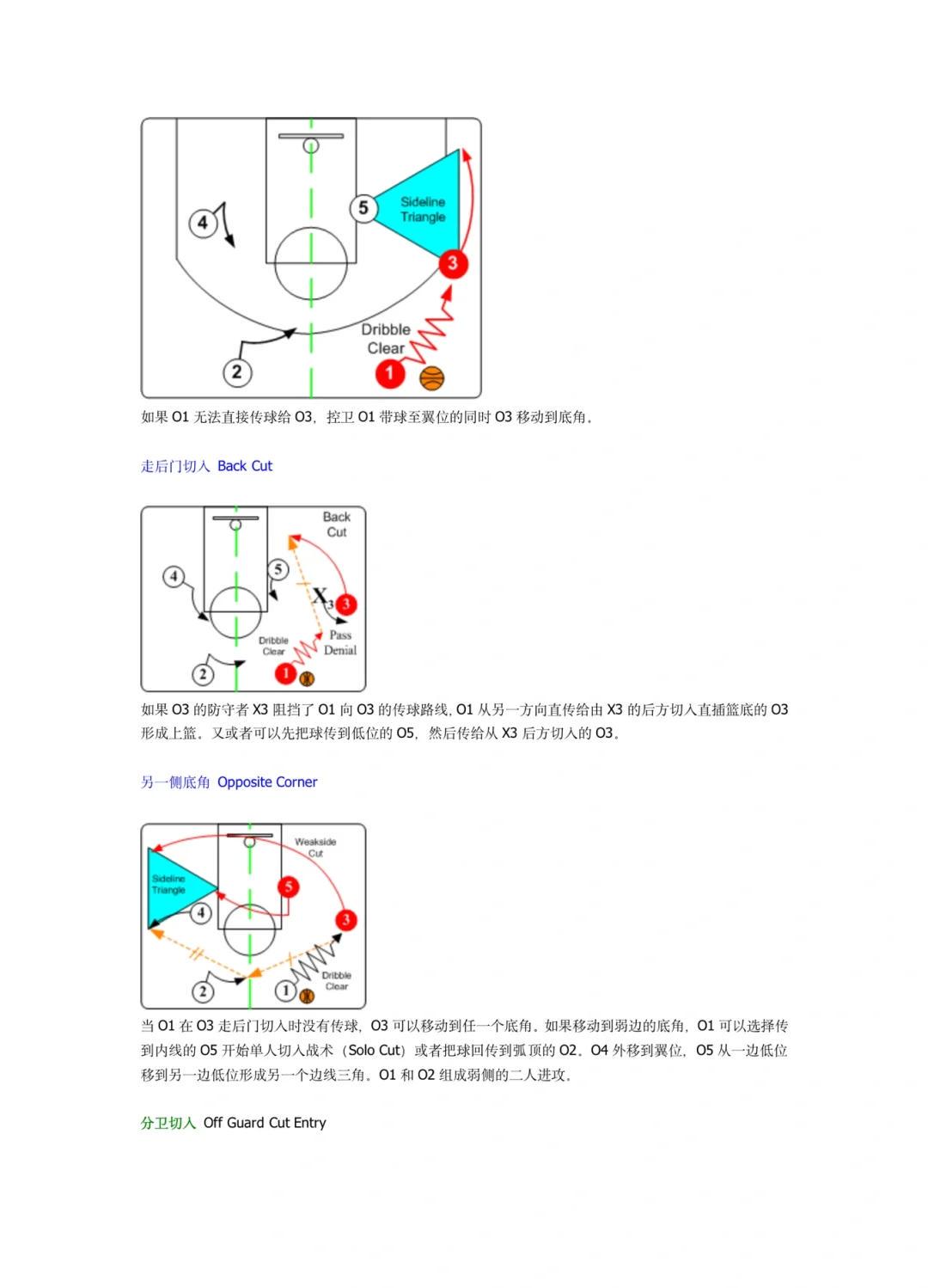 篮球训练直播_1